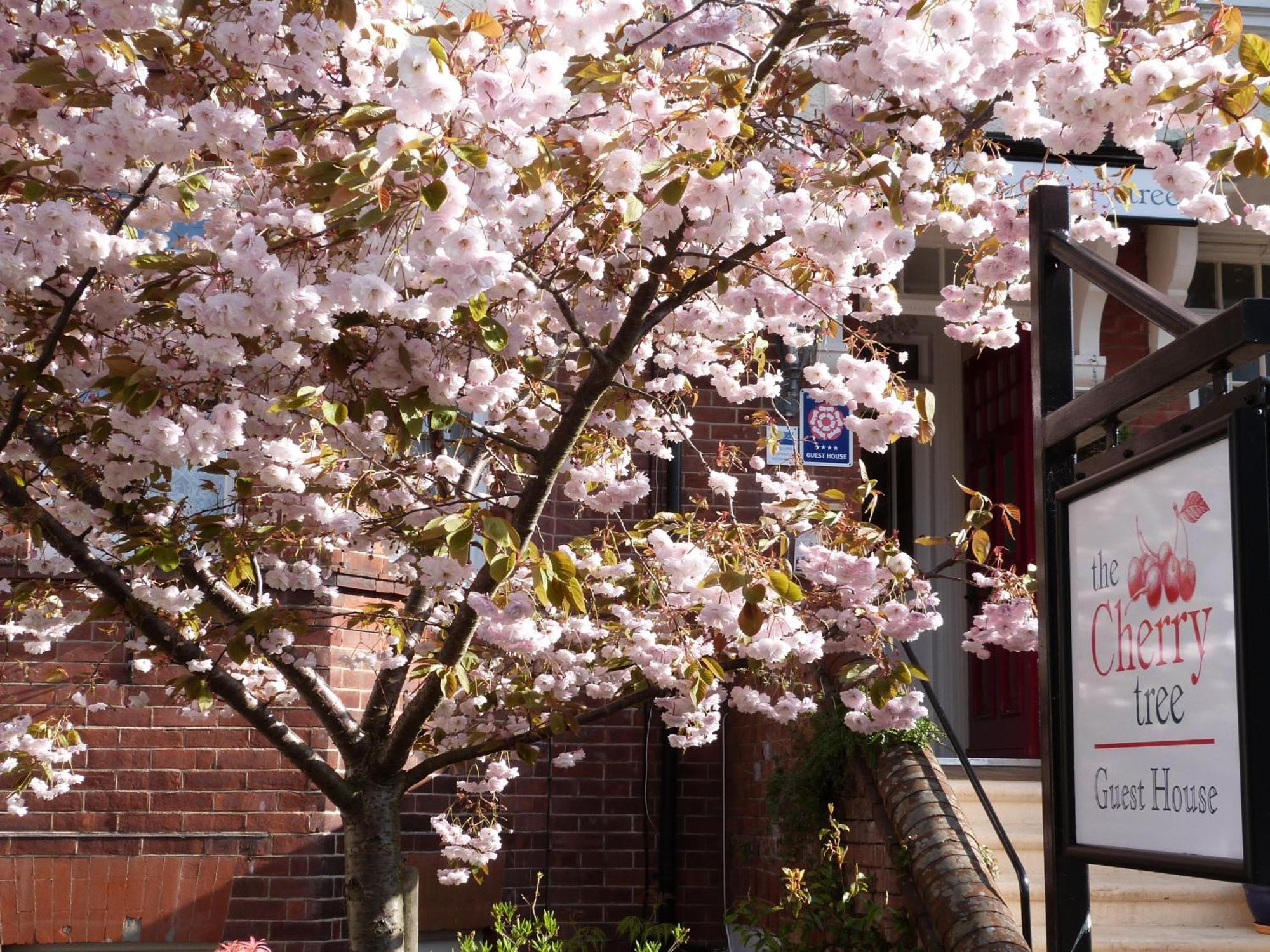 Maison d'hôtes The Cherry Tree